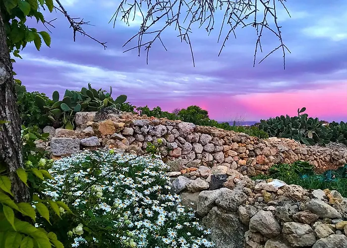 홈스테이 L'gharix Temple Retreat